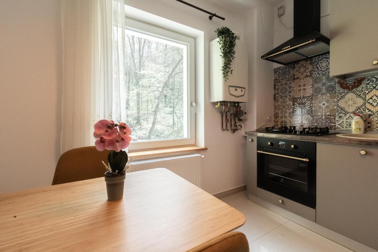 Nature Apartment - Minutes Away From The Old Town And Afi Mall Braşov Exterior foto